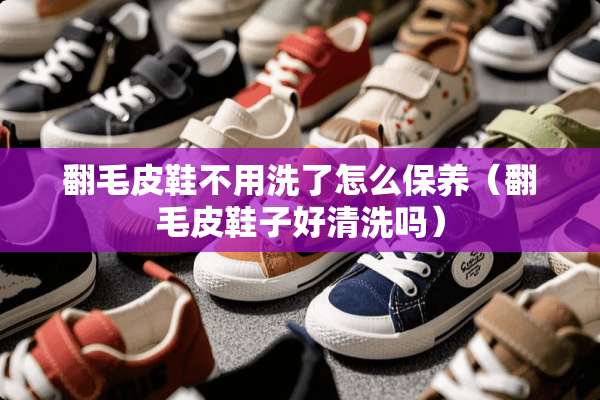 翻毛皮鞋不用洗了怎么保养（翻毛皮鞋子好清洗吗）