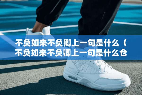 不负如来不负卿上一句是什么（不负如来不负卿上一句是什么仓央嘉措）