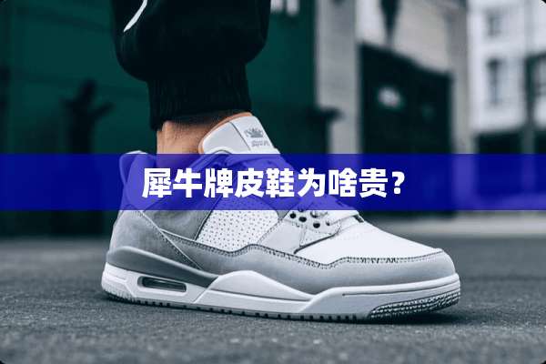 犀牛牌皮鞋为啥贵？