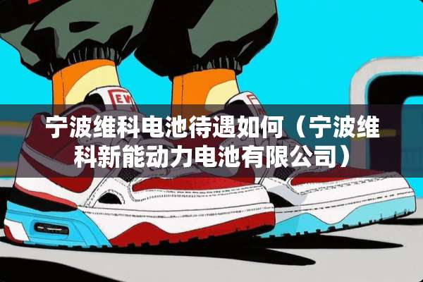 宁波维科电池待遇如何（宁波维科新能动力电池有限公司）