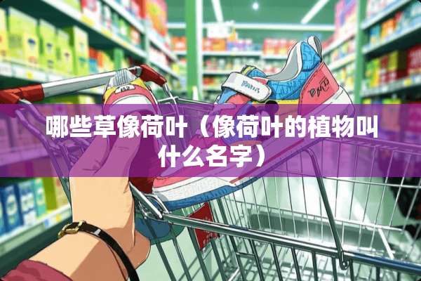 哪些草像荷叶（像荷叶的植物叫什么名字）