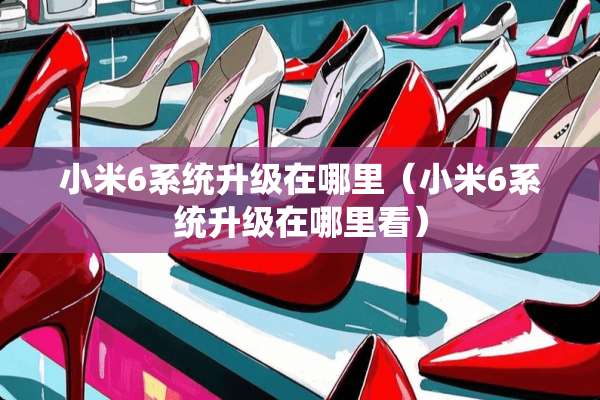 小米6系统升级在哪里（小米6系统升级在哪里看）