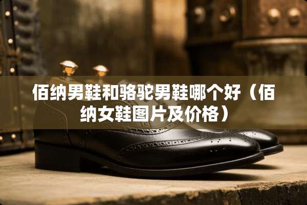 佰纳男鞋和骆驼男鞋哪个好（佰纳女鞋图片及价格）