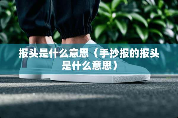 报头是什么意思（手抄报的报头是什么意思）