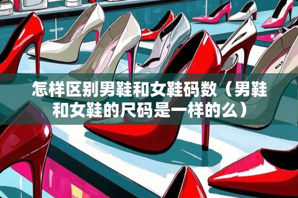 怎样区别男鞋和女鞋码数（男鞋和女鞋的尺码是一样的么）