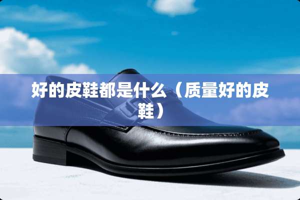 好的皮鞋都是什么（质量好的皮鞋）