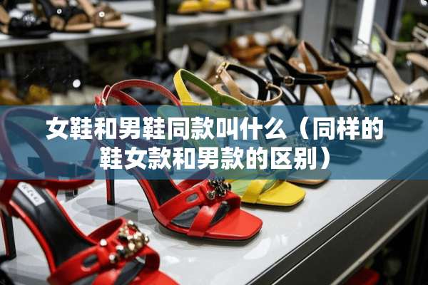 女鞋和男鞋同款叫什么（同样的鞋女款和男款的区别）
