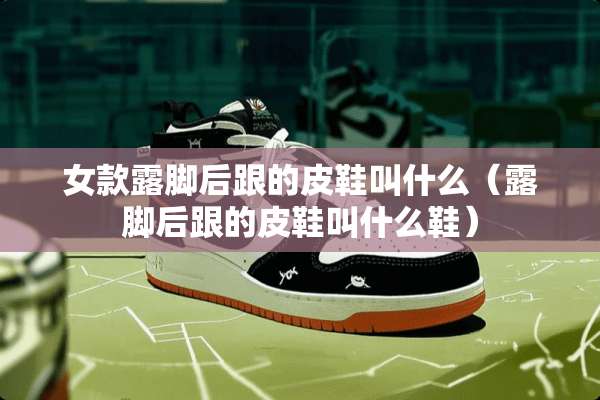 女款露脚后跟的皮鞋叫什么（露脚后跟的皮鞋叫什么鞋）