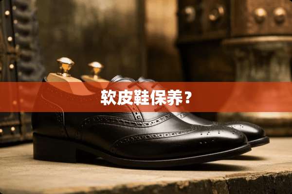 软皮鞋保养？