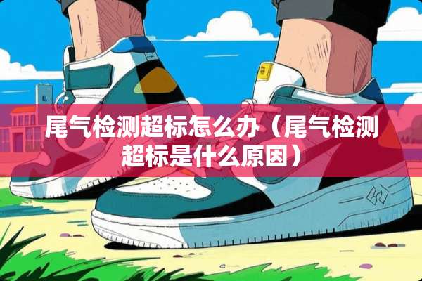 尾气检测超标怎么办（尾气检测超标是什么原因）
