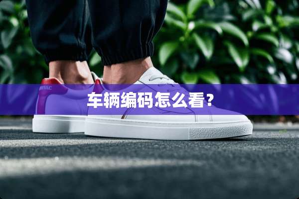 车辆编码怎么看？