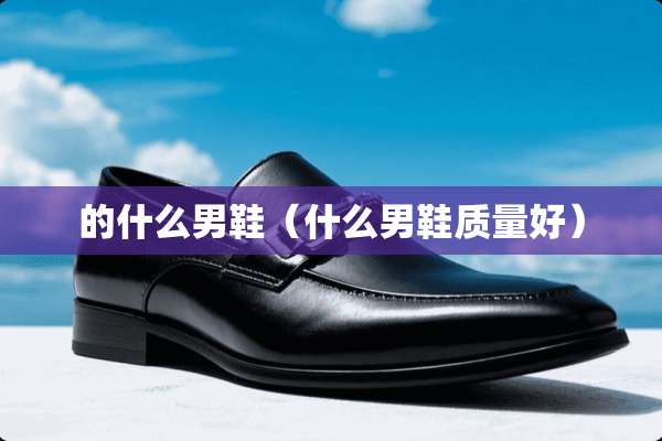 的什么男鞋（什么男鞋质量好）