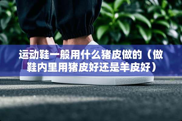 运动鞋一般用什么猪皮做的（做鞋内里用猪皮好还是羊皮好）
