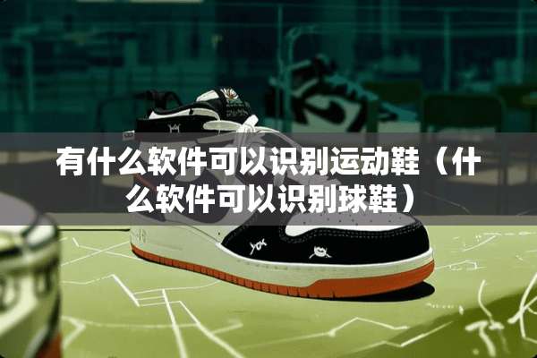 有什么软件可以识别运动鞋（什么软件可以识别球鞋）
