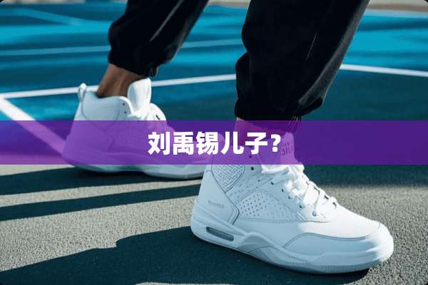 刘禹锡儿子？