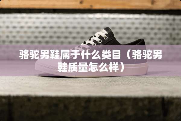 骆驼男鞋属于什么类目（骆驼男鞋质量怎么样）