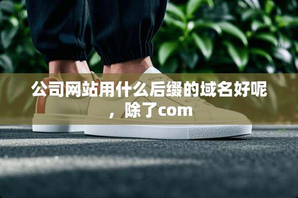 公司网站用什么后缀的域名好呢，除了com