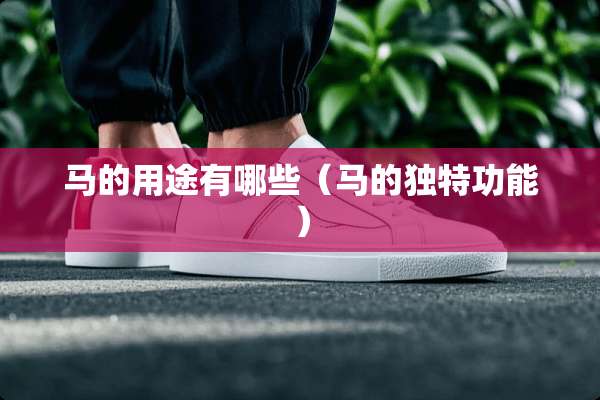 马的用途有哪些（马的独特功能）