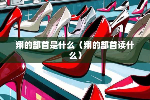 翔的部首是什么（翔的部首读什么）