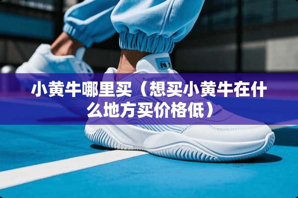 小黄牛哪里买（想买小黄牛在什么地方买价格低）
