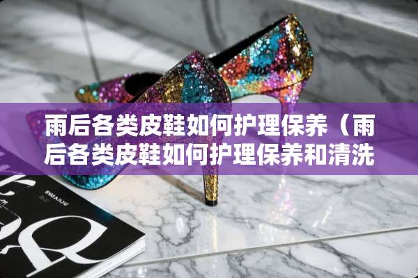雨后各类皮鞋如何护理保养（雨后各类皮鞋如何护理保养和清洗）