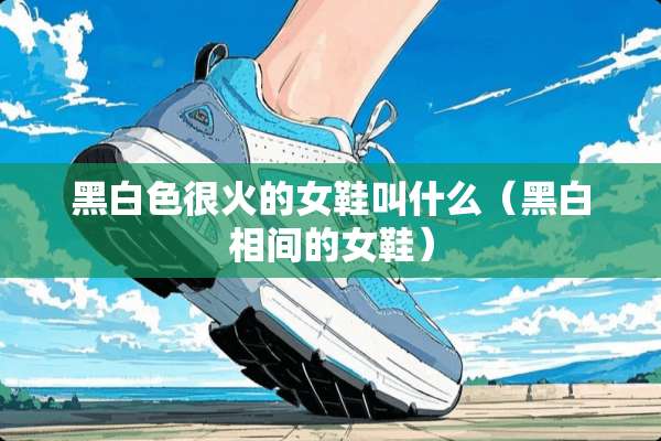 黑白色很火的女鞋叫什么（黑白相间的女鞋）