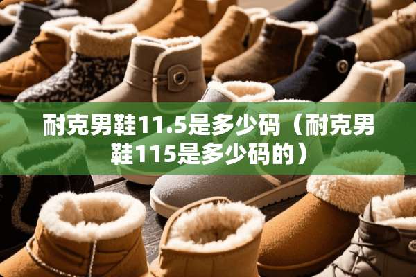 耐克男鞋11.5是多少码（耐克男鞋115是多少码的）