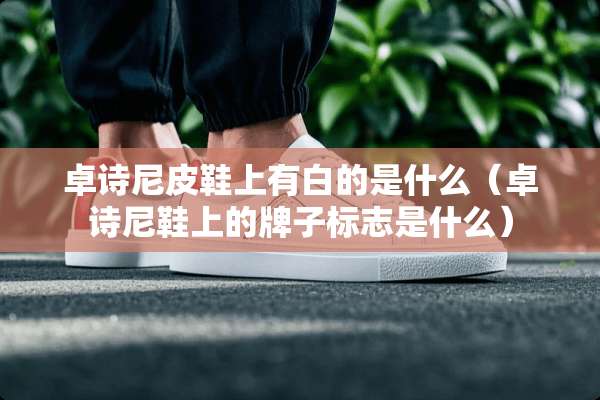 卓诗尼皮鞋上有白的是什么（卓诗尼鞋上的牌子标志是什么）