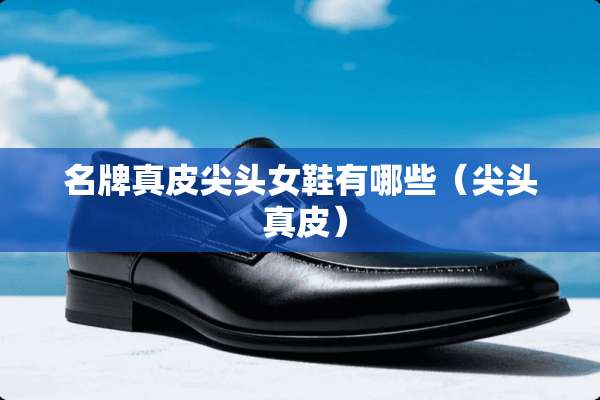 名牌真皮尖头女鞋有哪些（尖头 真皮）