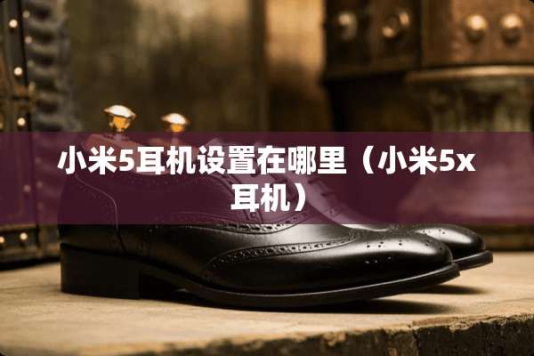 小米5耳机设置在哪里（小米5x耳机）