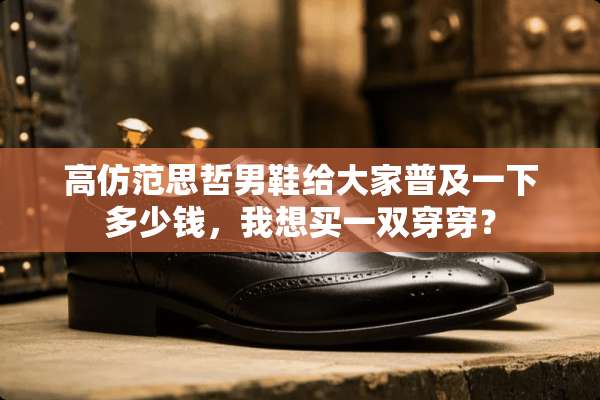 高仿范思哲男鞋给大家普及一下多少钱，我想买一双穿穿？