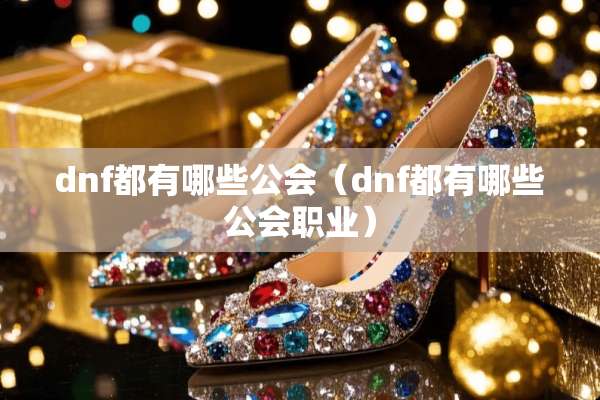 dnf都有哪些公会（dnf都有哪些公会职业）