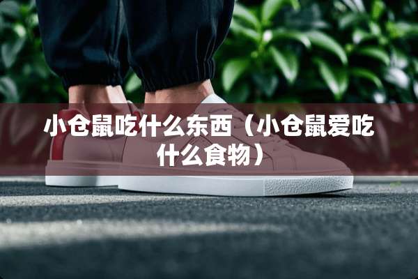 小仓鼠吃什么东西（小仓鼠爱吃什么食物）