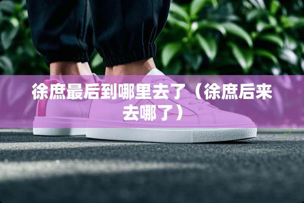 徐庶最后到哪里去了（徐庶后来去哪了）