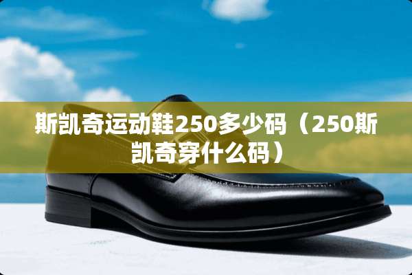 斯凯奇运动鞋250多少码（250斯凯奇穿什么码）