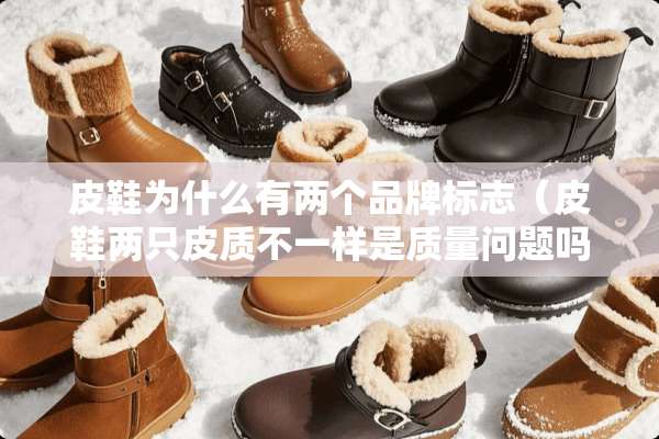皮鞋为什么有两个品牌标志（皮鞋两只皮质不一样是质量问题吗）