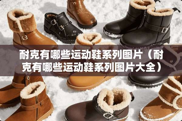 耐克有哪些运动鞋系列图片（耐克有哪些运动鞋系列图片大全）