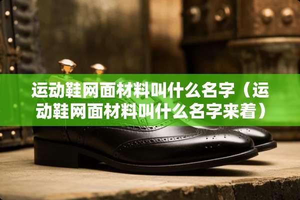 运动鞋网面材料叫什么名字（运动鞋网面材料叫什么名字来着）