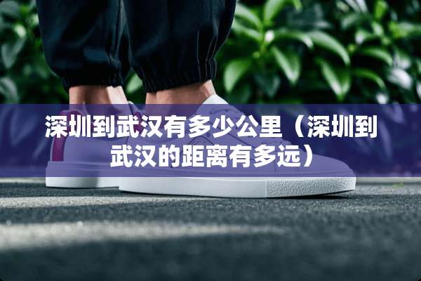 深圳到武汉有多少公里（深圳到武汉的距离有多远）