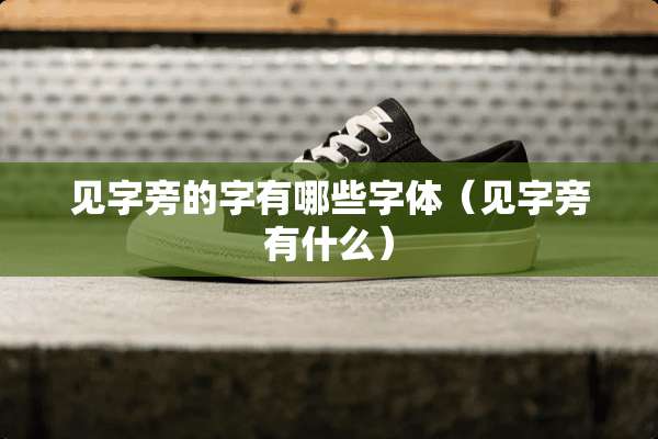 见字旁的字有哪些字体（见字旁有什么）