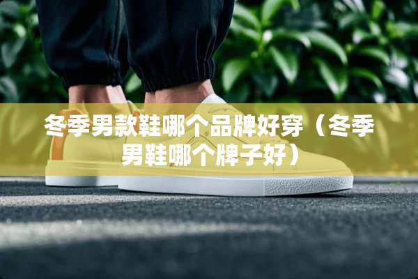 冬季男款鞋哪个品牌好穿（冬季男鞋哪个牌子好）