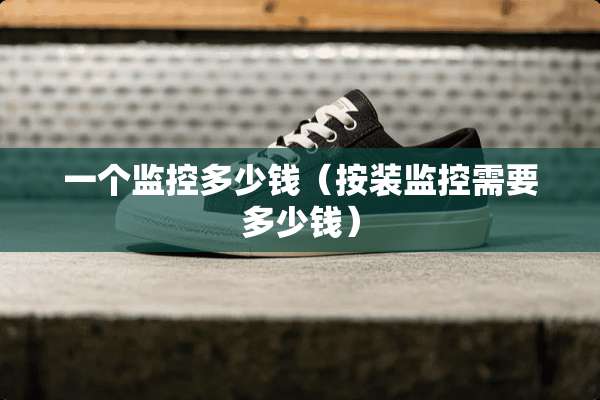一个监控多少钱（按装监控需要多少钱）