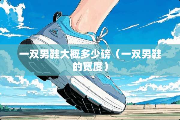 一双男鞋大概多少磅（一双男鞋的宽度）