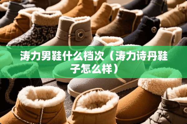 涛力男鞋什么档次（涛力诗丹鞋子怎么样）