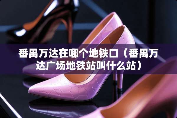 番禺万达在哪个地铁口（番禺万达广场地铁站叫什么站）