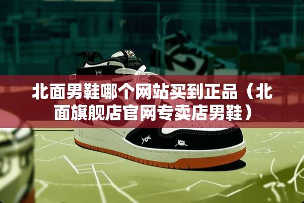 北面男鞋哪个网站买到正品（北面旗舰店官网专卖店男鞋）