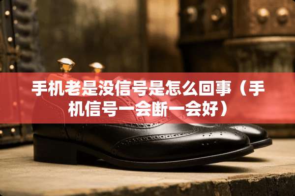 手机老是没信号是怎么回事（手机信号一会断一会好）