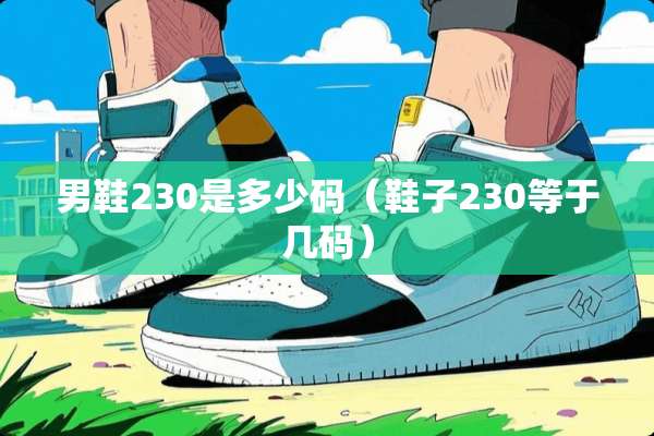 男鞋230是多少码（鞋子230等于几码）
