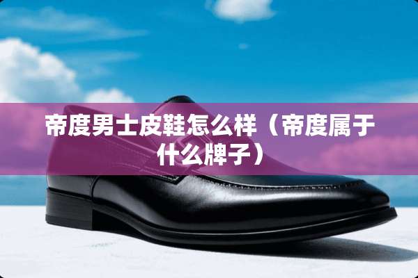 帝度男士皮鞋怎么样（帝度属于什么牌子）