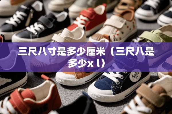 三尺八寸是多少厘米（三尺八是多少x l）